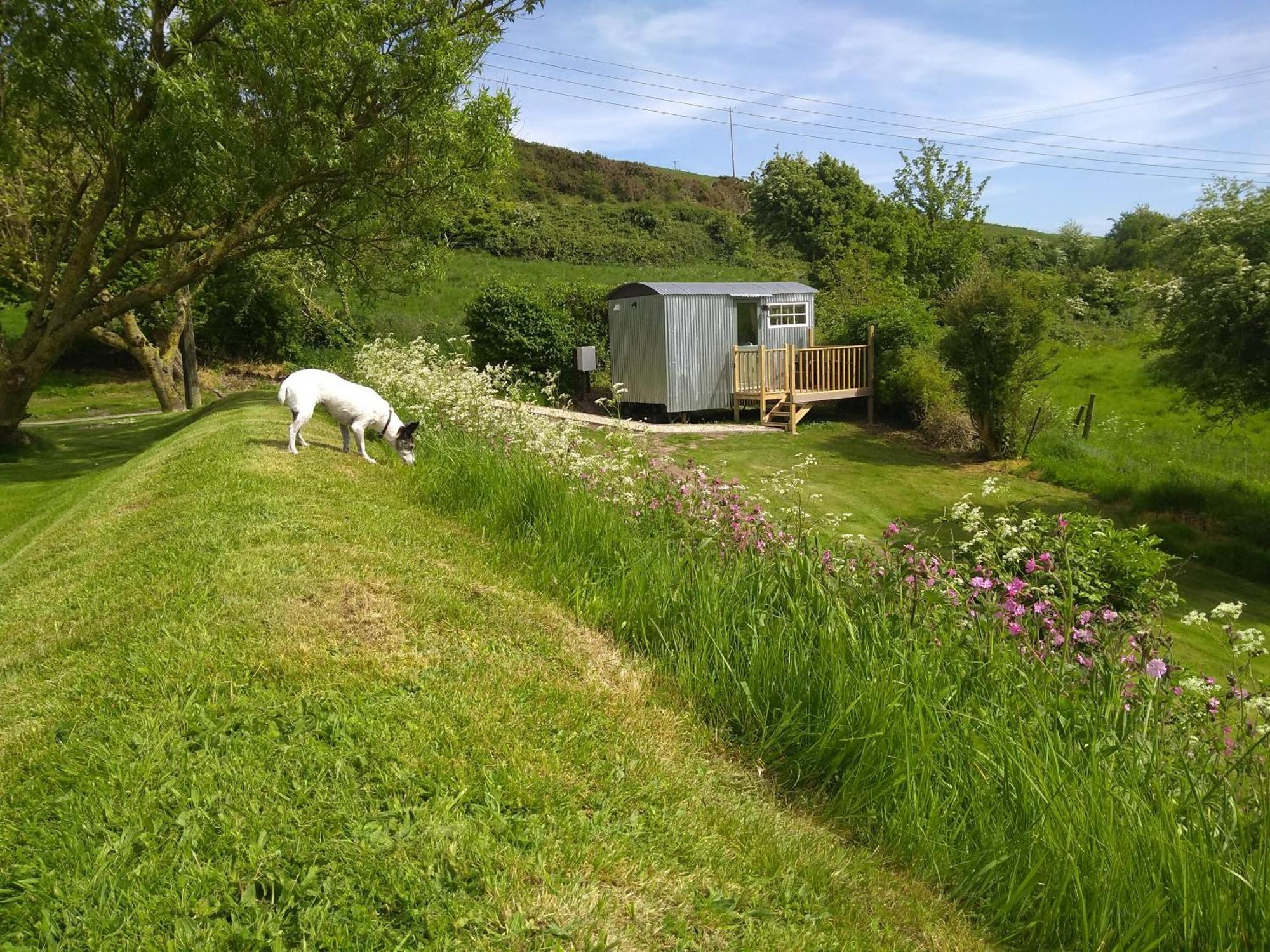 Shepherds Hut Уэймут Экстерьер фото